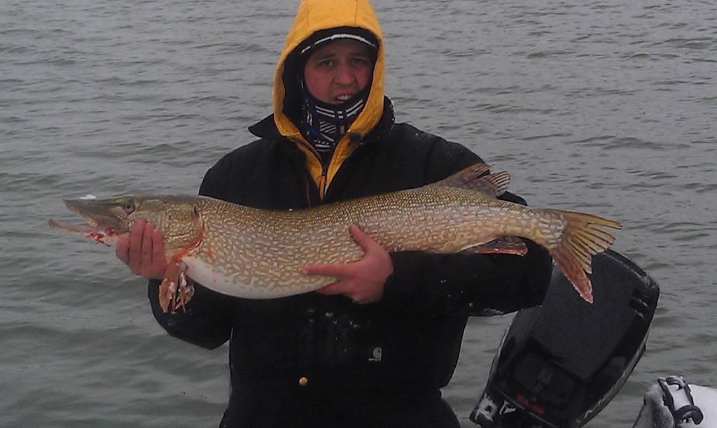 Full Shot Biggest Fish 43 resized.jpg