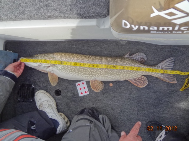 Brians 39%22 Pike1.jpg