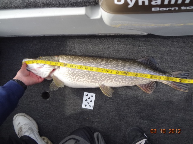 s 38%22 pike.jpg