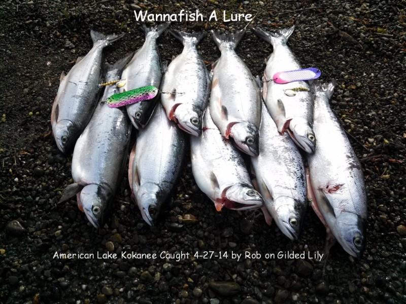 American Lake 4-27-14 1.jpg