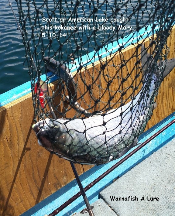 1 American 5-10-14 bloody Mary.jpg