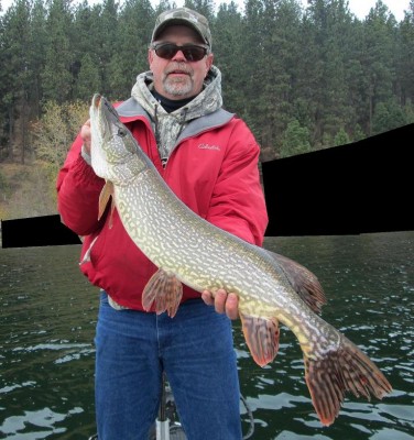 12 LB.jpg (138.13 KiB) Viewed 8355 times 12 LB.jpg