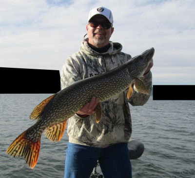 36 INCHER.jpg (250.09 KiB) Viewed 8326 times 36 INCHER.jpg