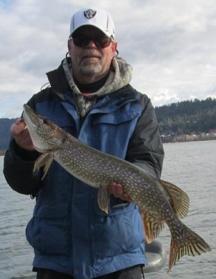 1.jpg (66.5 KiB) Viewed 8256 times 1.jpg