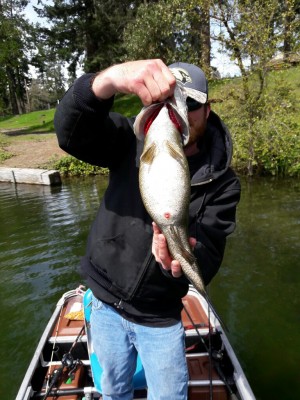 20170428_140253-768x1024.jpg (240.98 KiB) Viewed 25736 times 20170428_140253-768x1024.jpg