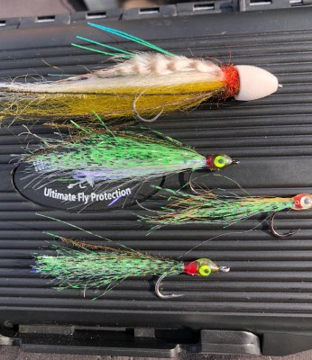 IMG_8532.jpg (824.18 KiB) Viewed 26474 times IMG_8532.jpg