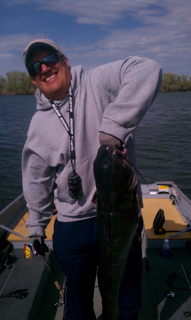 Resized catfish.jpg