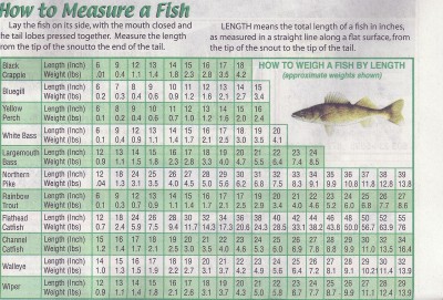 fish weights.jpg