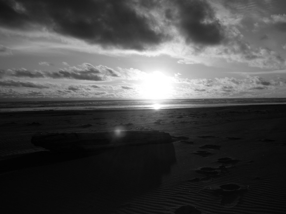 Untitled-Grayscale-01.jpg