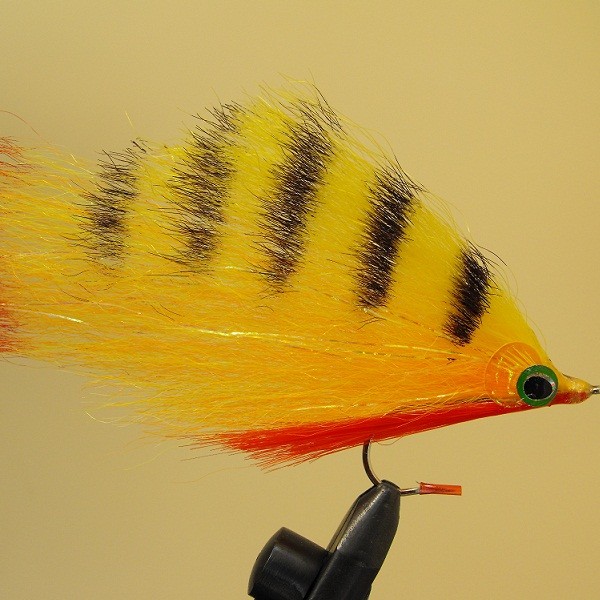 yellow_perch.jpg